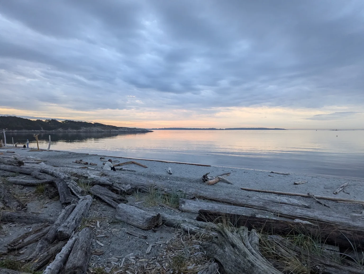 oak bay dental clinic